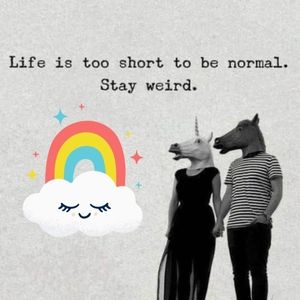 Meet your Posher, Ken